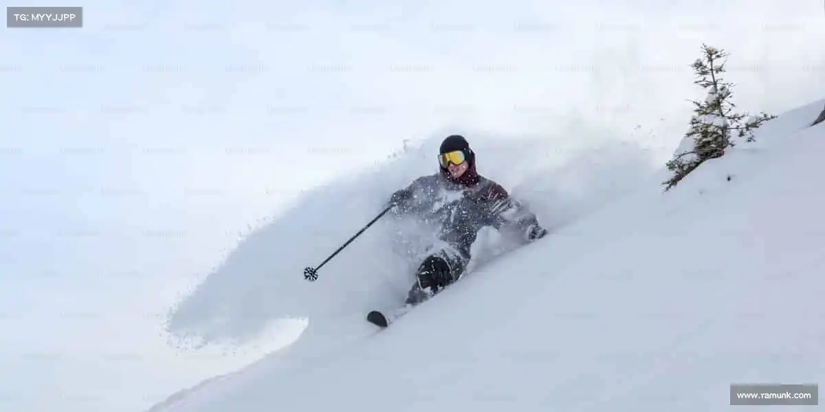 行业领先的理由